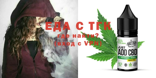 индика Вяземский