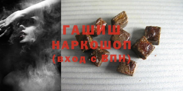 индика Вяземский
