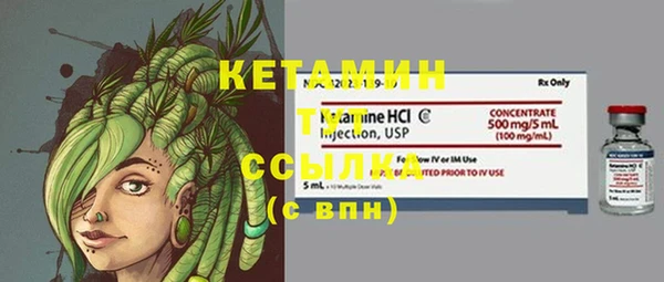 индика Вяземский