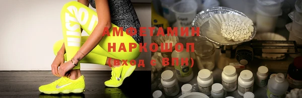 индика Вяземский