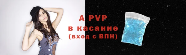 индика Вяземский