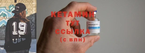 индика Вяземский