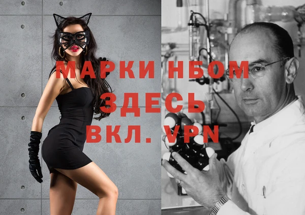 индика Вяземский