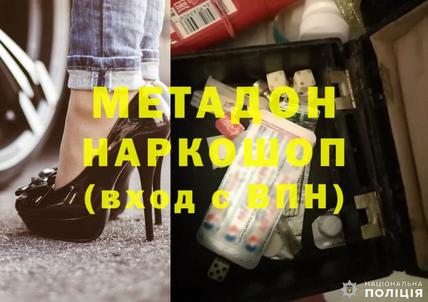 индика Вяземский
