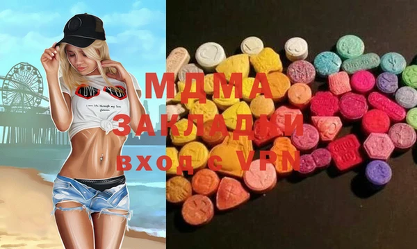 индика Вяземский