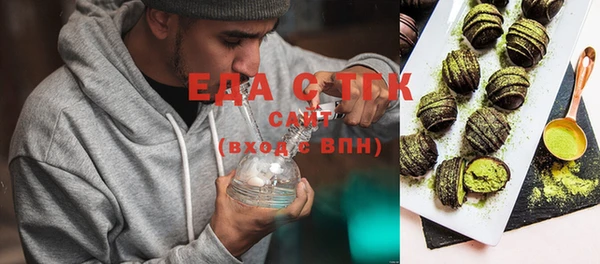 индика Вяземский