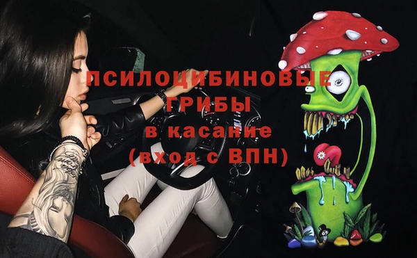 МДПВ Вязьма