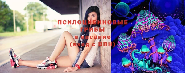 индика Вяземский