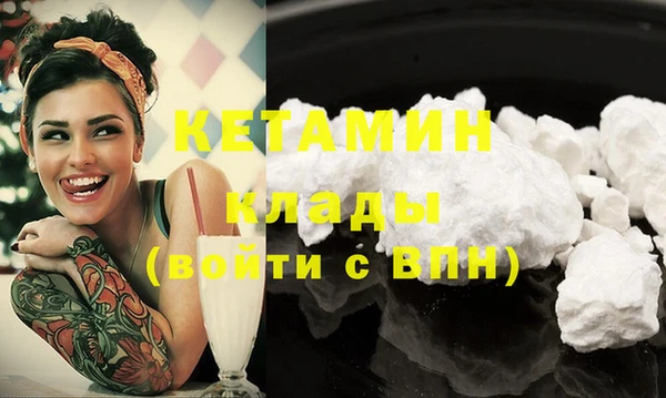 индика Вяземский