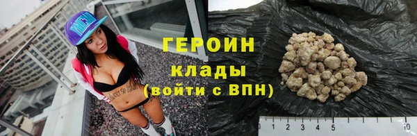 индика Вяземский