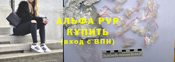 индика Вяземский