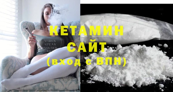 индика Вяземский