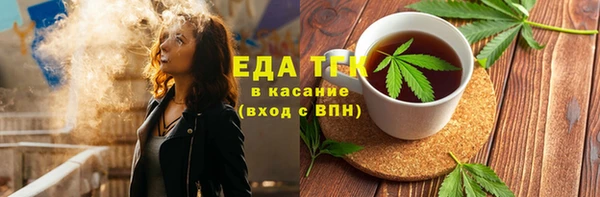 индика Вяземский