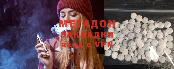 индика Вяземский