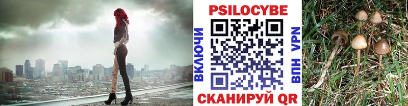 Псилоцибиновые грибы GOLDEN TEACHER  Железногорск 